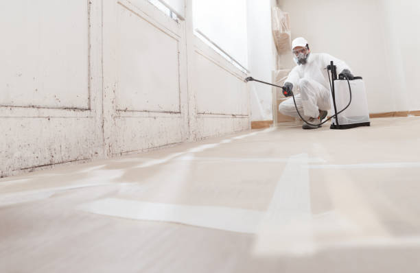 24/7 Emergency Mold Removal experts in Henderson, MD