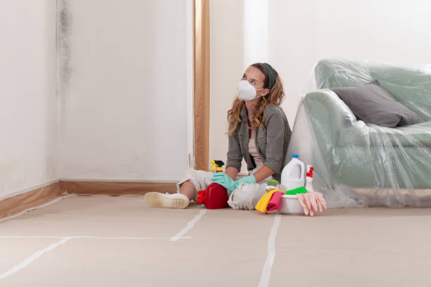 Reliable Mold Removal contractor in Henderson, MD by WQB Mold Removal